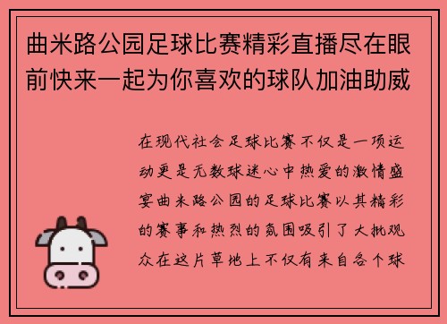 曲米路公园足球比赛精彩直播尽在眼前快来一起为你喜欢的球队加油助威